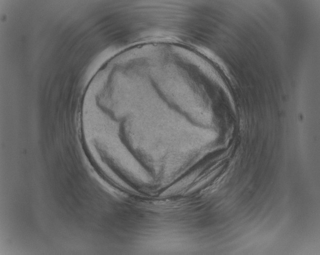 X0000072941383200608181330