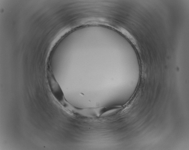 X0000072941384200608181330