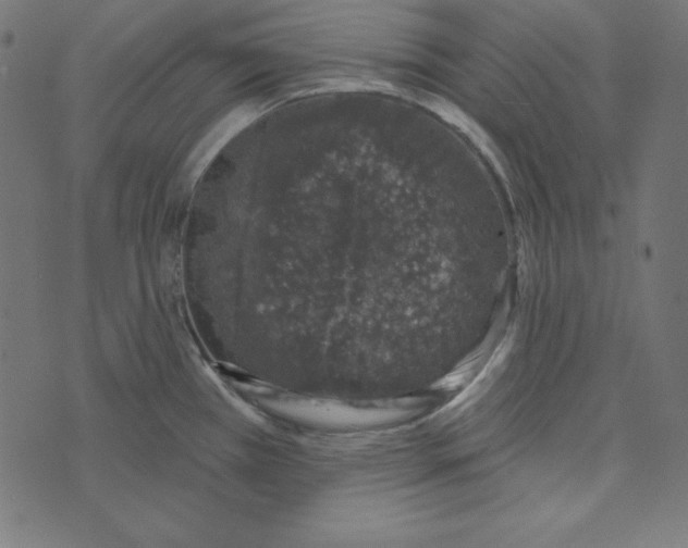 X0000072941385200608181330