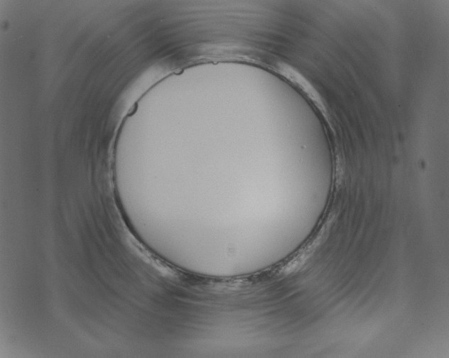 X0000072941386200608181330