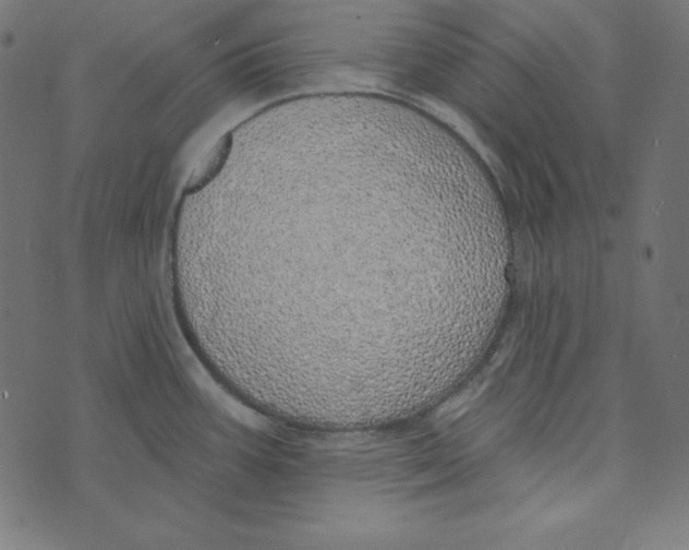 X0000072941387200608181330