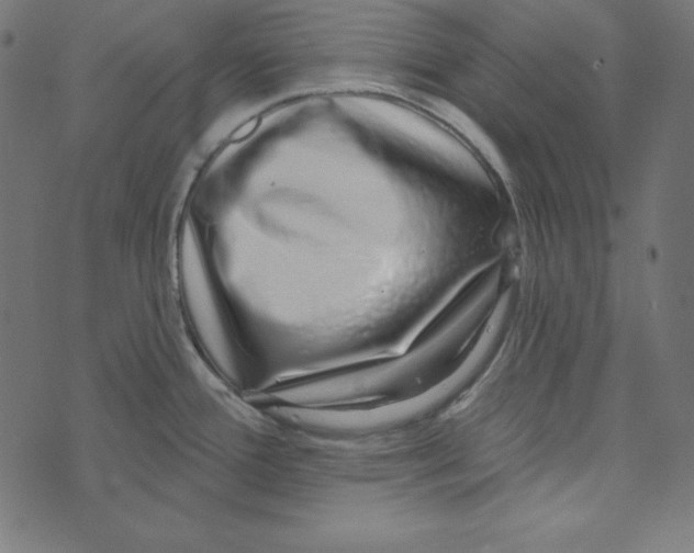 X0000072941388200608181330