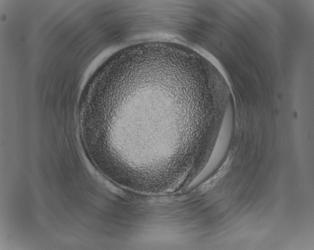 X0000072941389200608181330