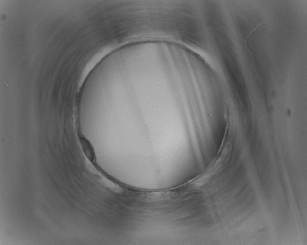 X0000072941390200608181330