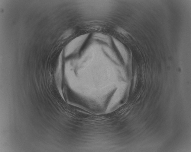 X0000072941394200608181329