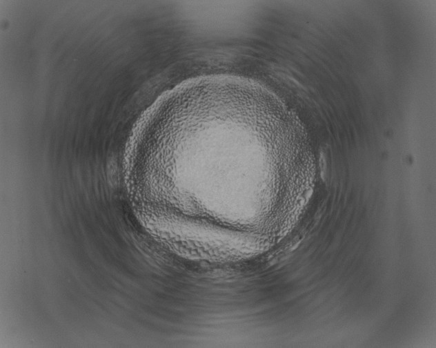 X0000072941395200608181329