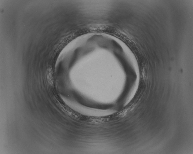 X0000072941396200608181329