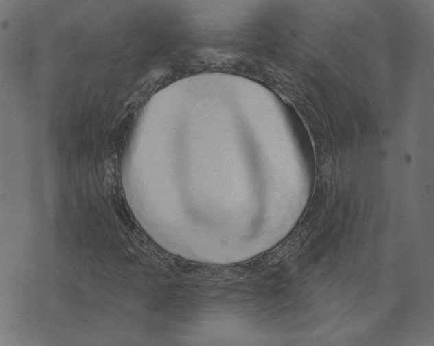 X0000072941397200608181329