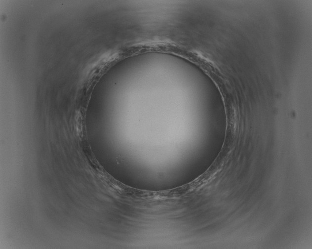 X0000072941398200608181329