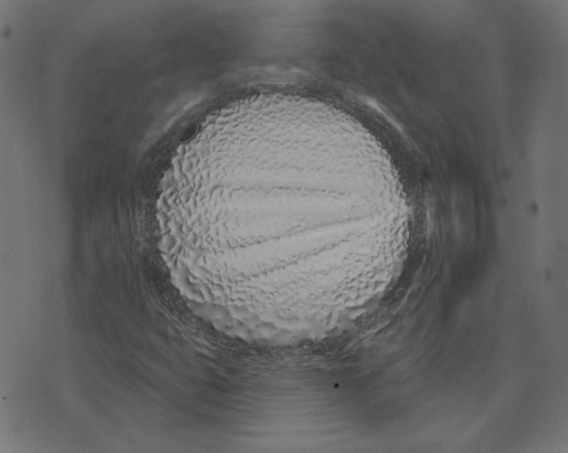 X0000072941399200608181329