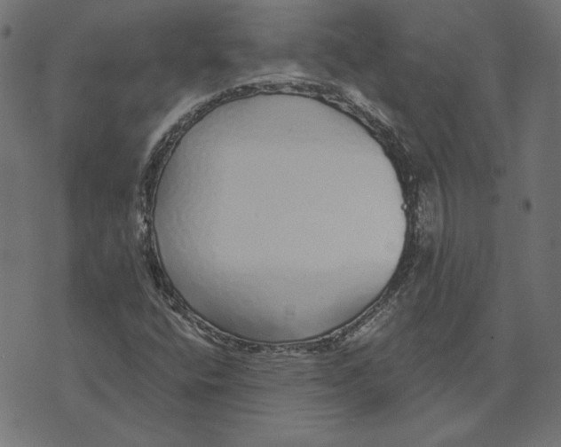 X0000072941400200608181329