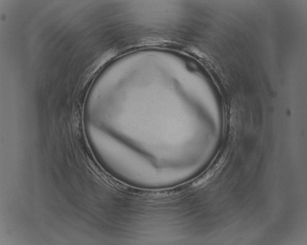 X0000072941401200608181329