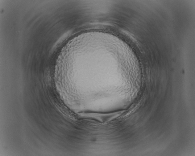 X0000072941403200608181329