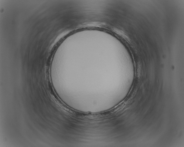 X0000072941404200608181329