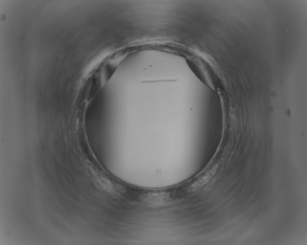 X0000072941406200608181329