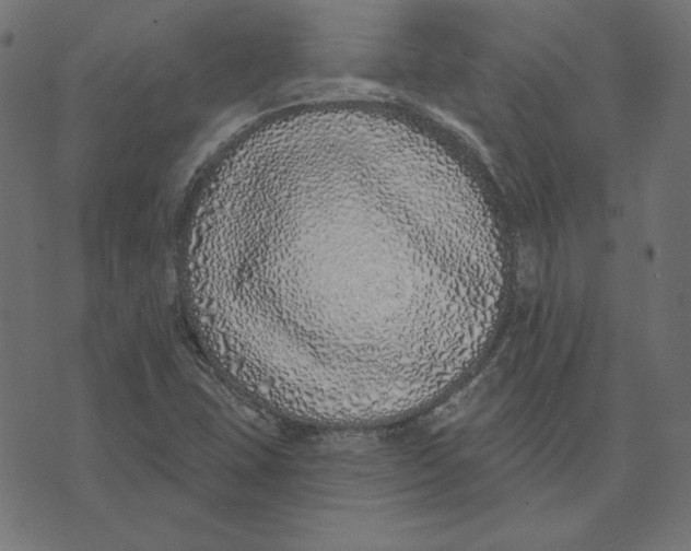 X0000072941407200608181329