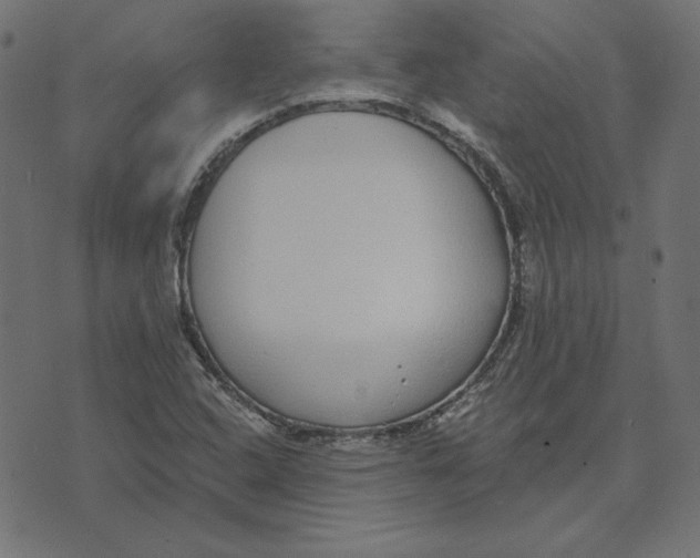 X0000072941408200608181329