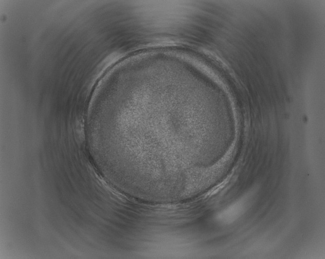 X0000072941409200608181329