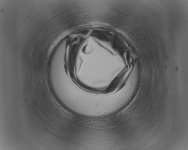 X0000072941410200608181329