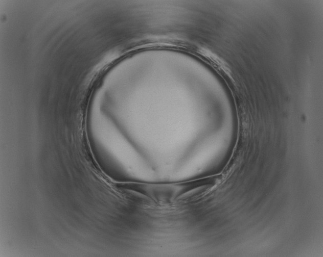 X0000072941411200608181329