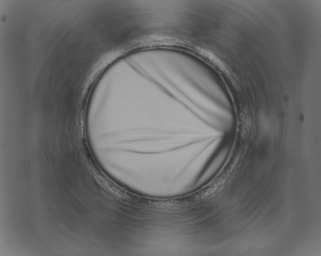 X0000072941413200608181329