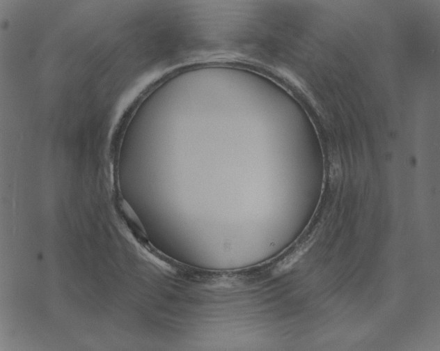 X0000072941414200608181329