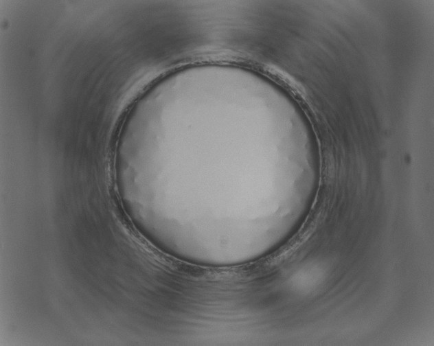 X0000072941415200608181330