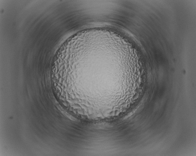 X0000072941417200608181330