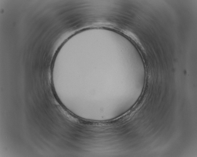 X0000072941420200608181330