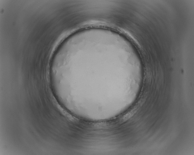 X0000072941421200608181330