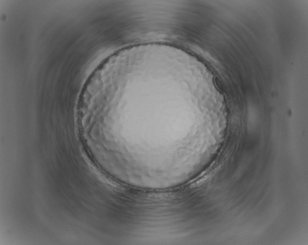 X0000072941423200608181330