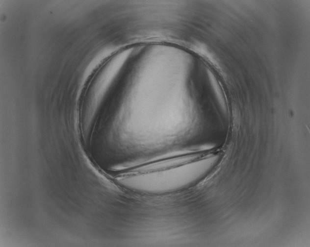 X0000072941424200608181330