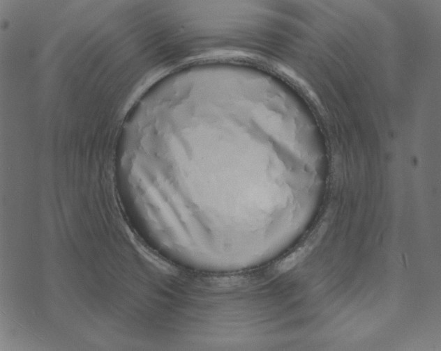 X0000072941425200608181330