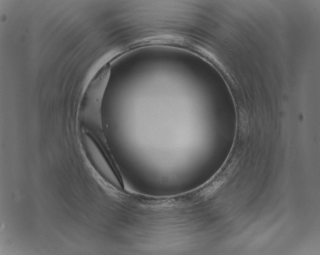 X0000072941426200608181330