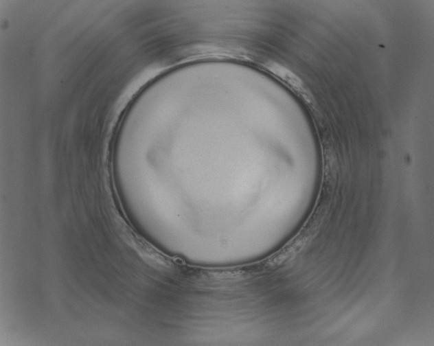 X0000072941427200608181330