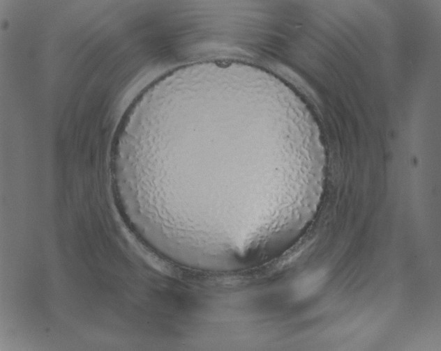 X0000072941431200608181330