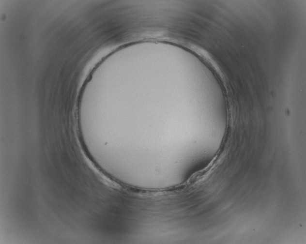 X0000072941432200608181330