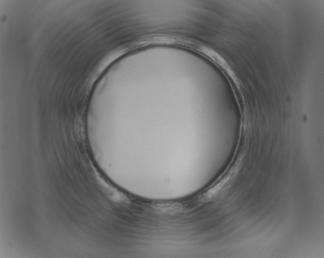 X0000072941433200608181330