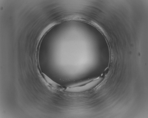 X0000072941434200608181330