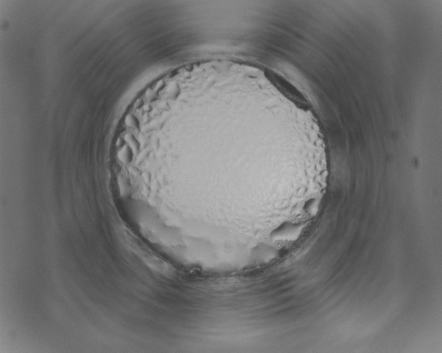 X0000072941435200608181330