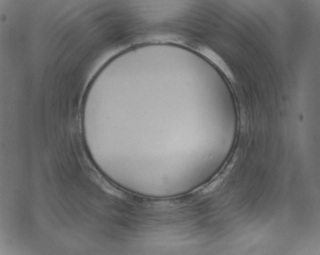 X0000072941436200608181330