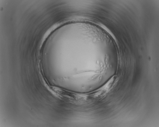 X0000072941437200608181330