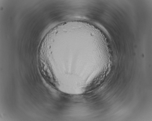 X0000072941439200608181330