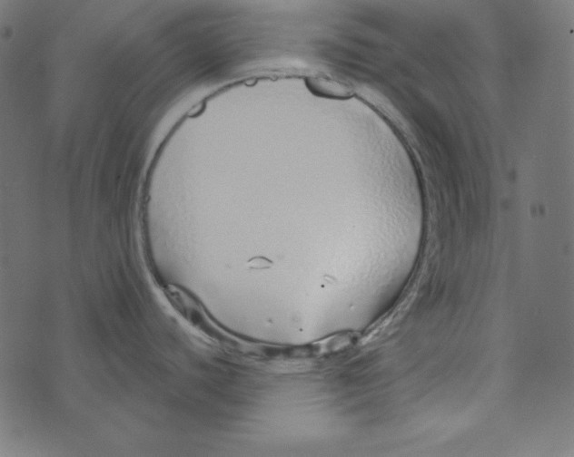 X0000072941440200608181330