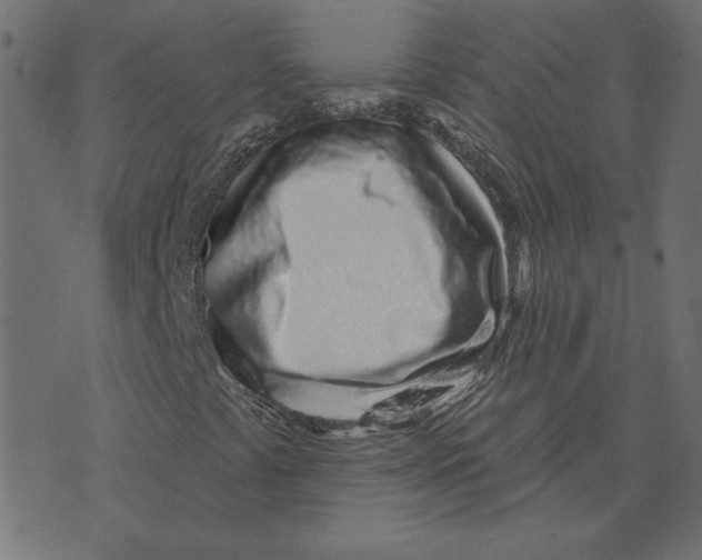 X0000072941441200608181329