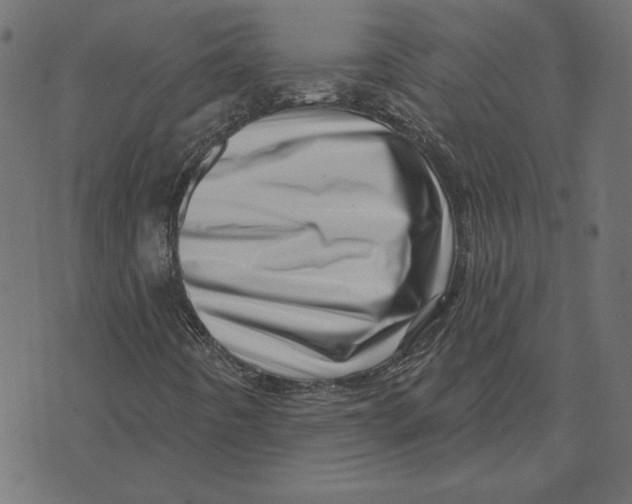 X0000072941442200608181329