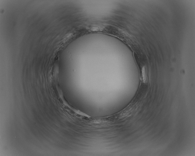 X0000072941443200608181329