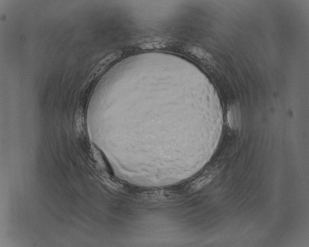 X0000072941444200608181329