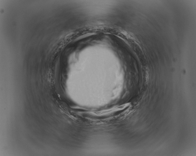 X0000072941445200608181329