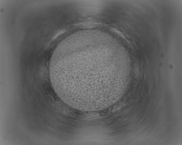 X0000072941446200608181329